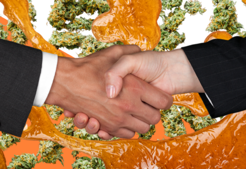 What Is Cannabis Brokerage and How Can It Help My Business?