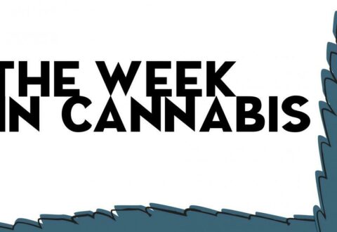 Black text reads The Week In Cannabis with white background with blue side design details Benzinga