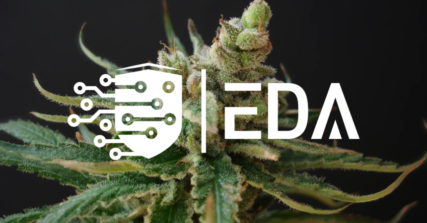 The Ethical Data Alliance is putting the power of cannabis data back into the hands of people