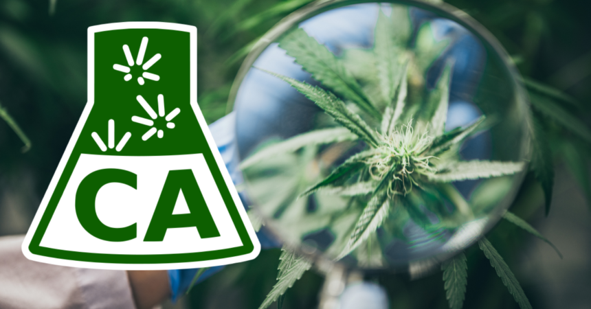 Confidence Analytics goes above and beyond for cannabis analysis and consumer safety
