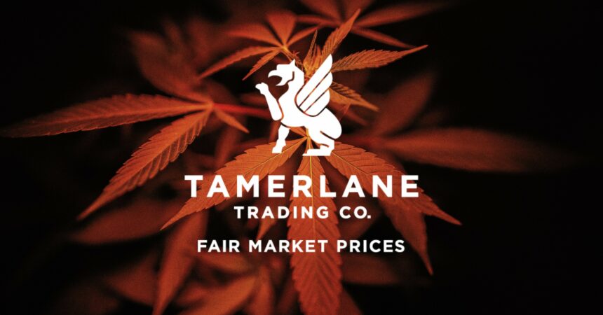 tamerlane trading logo on background of orange cannabis leaves. cannabis marketplace brokerage