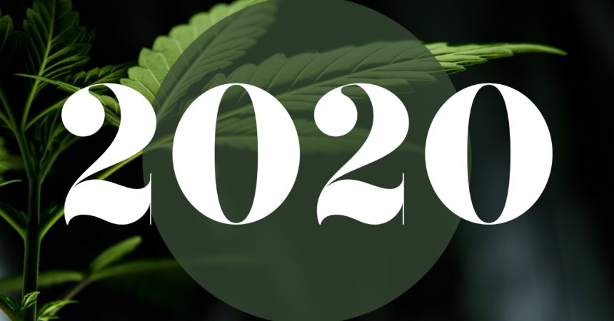 2020 written over a cannabis leaf, marijuana plant, year in review, industry insights, trends