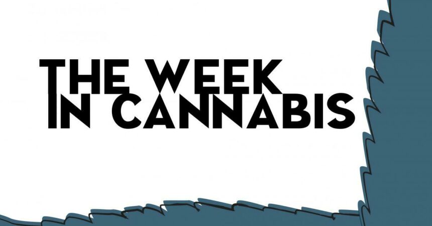 Black text reads The Week In Cannabis with white background with blue side design details Benzinga